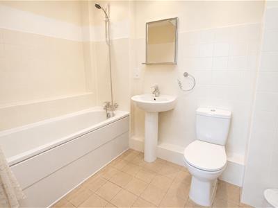 Picture 7